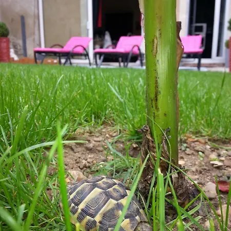 Les Lamartine-chambres D'hotes Le Mans